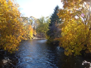 view from the bridge at the beg & end of race