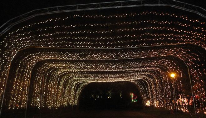 704312_10151562923624428_973591593_o