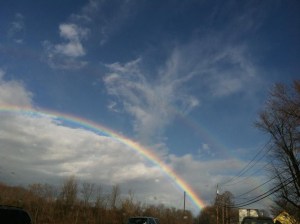rainbow12-21-12