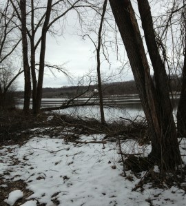 path is clear but still snow on the grass.