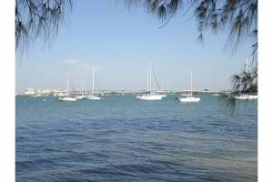 photo of the bridge (from the day before)