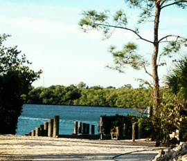 view of the canal during my run