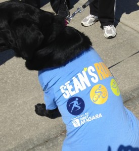 this was the race shirt - very thin breathable cotton)