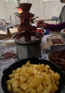 chocolate fountain with pretzels and fruit for dipping