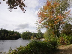 ???????????????????????????????