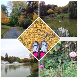 post race run in the park