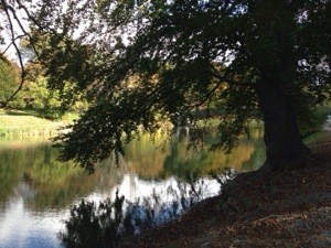 park during lunch walk