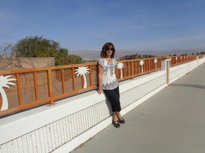 1015202_10152531986824428_782716616_o