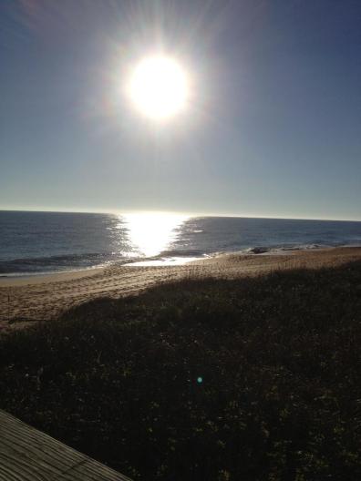 1891066_665189233543144_355076333_n