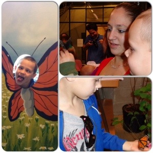 at the butterfly exhibit