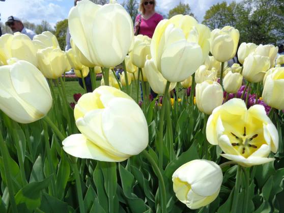 736266_10152810125994428_8957897214587131445_o