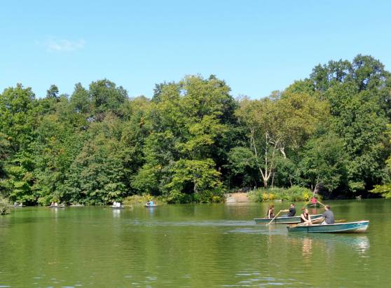 10668958_10153175112629428_1386367700809528021_o