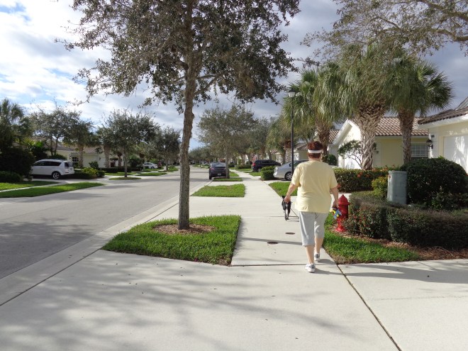 florida jan 2015 (1)