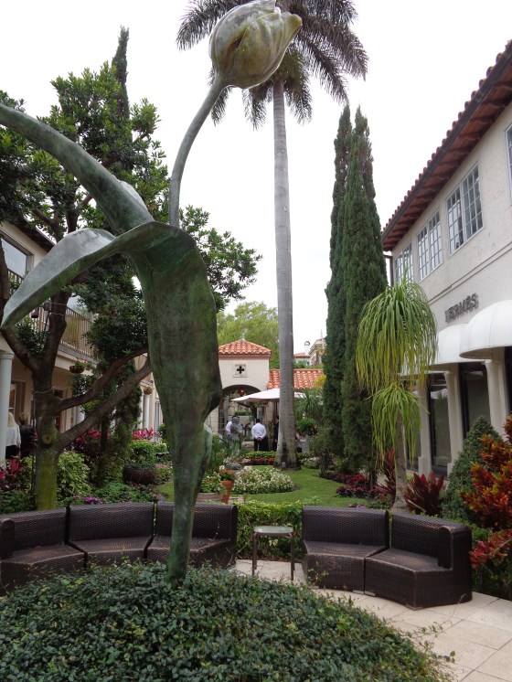 florida jan 2015 (107)