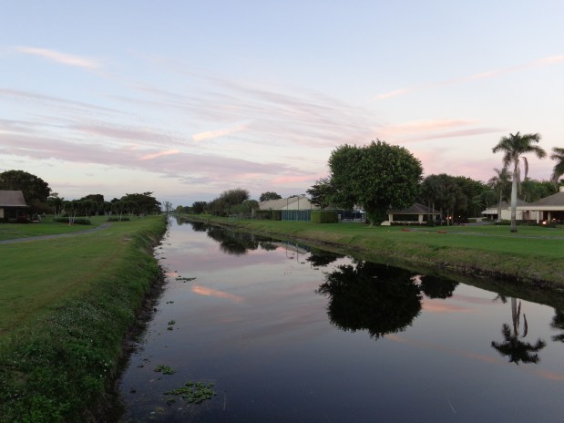 florida jan 2015 (61)