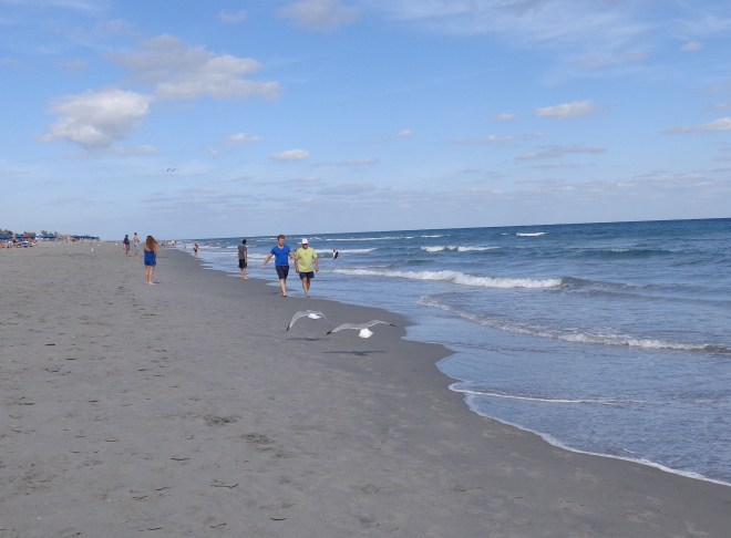 florida jan 2015 (80)