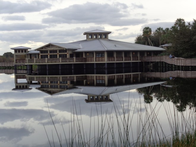 florida jan 2015 (84)