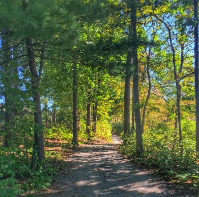 Processed with Snapseed.